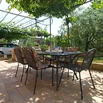 Maria 64 فودنيان